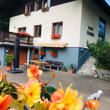 Haus-Erzberg Bed & Breakfast Vordernberg Eksteriør bilde