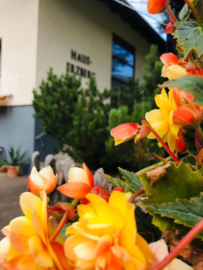 Haus-Erzberg Bed & Breakfast Vordernberg Eksteriør bilde