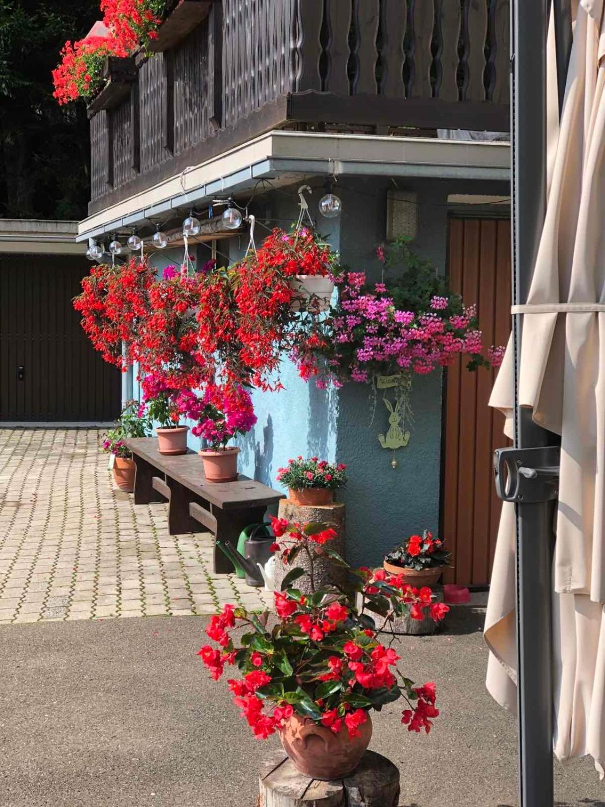 Haus-Erzberg Bed & Breakfast Vordernberg Eksteriør bilde
